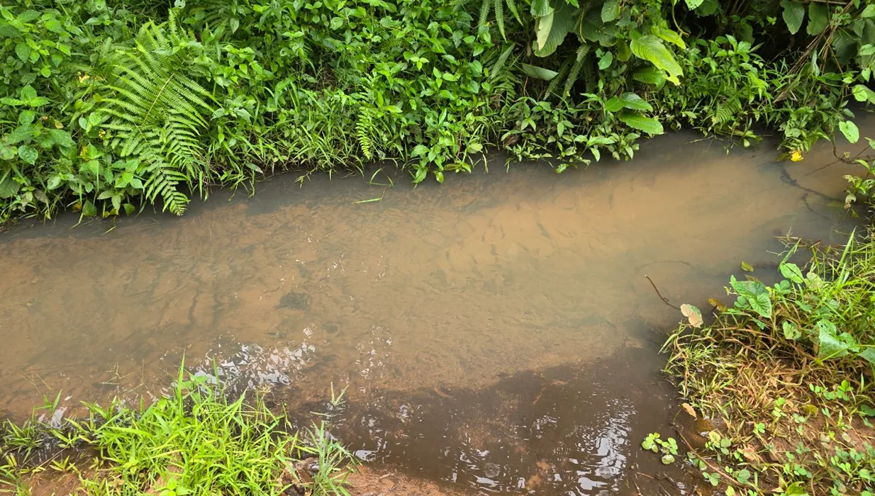 A muddy pond that was used as a drinking water source