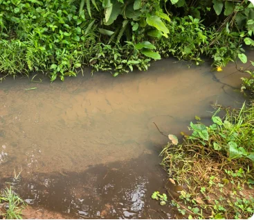 A muddy pond that was used as a drinking water source